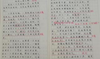 我的心爱之物500字左右