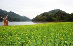 2022广州从化石门森林公园游玩攻略 广州从化石门森林公园