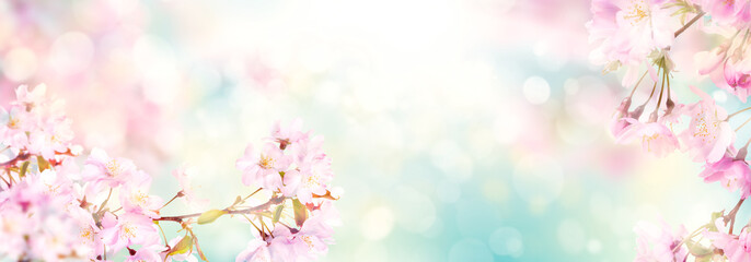 有关桃花村的古诗句